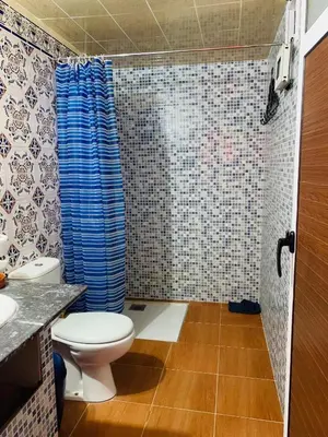 a bathroom with a toilet and a shower at Riad iriki in Tinerhir