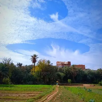 Riad iriki