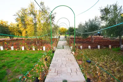 a walkway in a garden with flowers and street lights at Maison d'hôtes La Ferme AZIZA in Fès