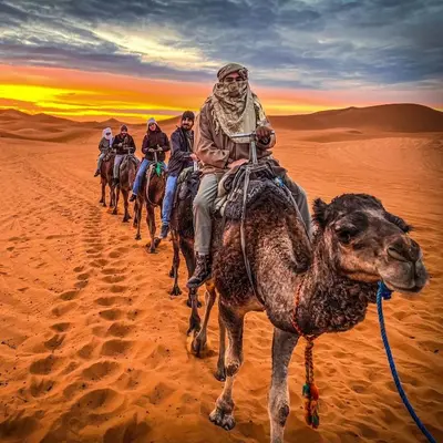 a group of people riding on camels in the desert at Hotel Riad Ali in Merzouga