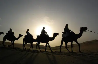a group of people riding camels in the desert at Luxury oasis camp in Merzouga