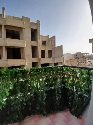 a green hedge in front of a building at Ryan 3 in Fès