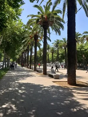 a sidewalk lined with palm trees in a park at Ryan 3 in Fès