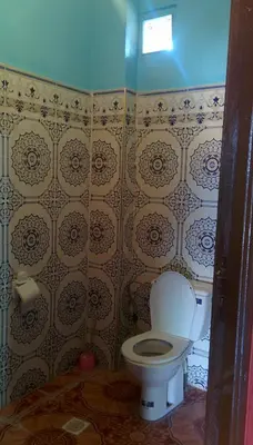 a bathroom with a toilet and a tile wall at Auberge Camping BOUGAFER Tamtetoucht in Tamtetoucht