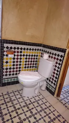 a bathroom with a toilet and a checkered wall at Riad jasmins & Spa in Fès