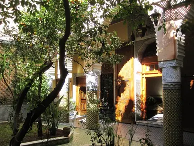 a front door of a house with a tree at Riad Jaouhara in Fès