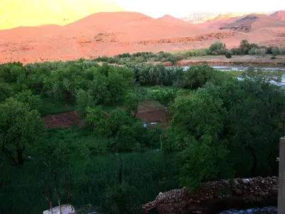 a view of a field with trees and mountains at Dar Bilal in Aït Ben Haddou