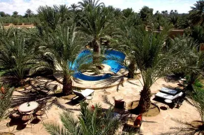 an aerial view of a pool in a resort with palm trees at La Rose Du Desert in Erfoud