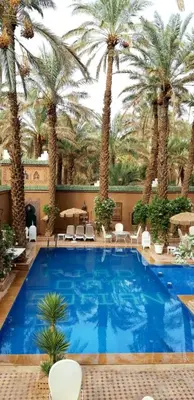 a large pool with palm trees in a hotel at Riad Dar Sofian in Zagora