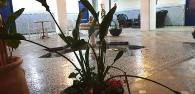 a room with a potted plant on the floor at Hotel Batha in Fès