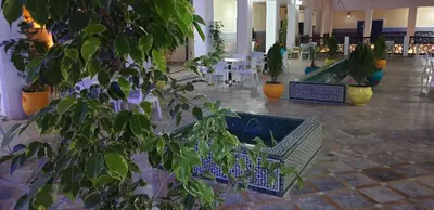 a room with a potted plant and tables and chairs at Hotel Batha in Fès