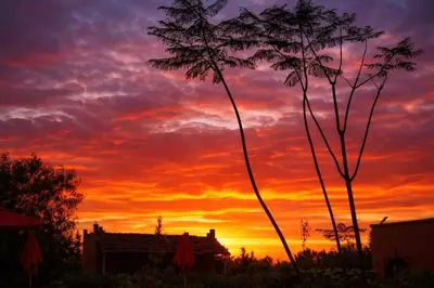 a sunset with two palm trees in the foreground at Les Orangers De l'Ourika in Marrakech