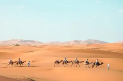 a group of people riding camels in the desert at Moonlight Luxury Camp in Merzouga