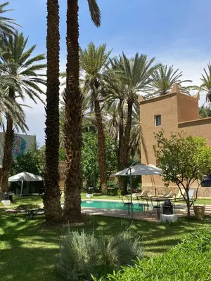 a group of palm trees and a swimming pool at Maison d Hôte Ighrem in Goulmima