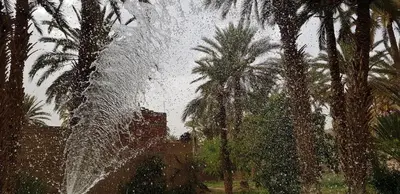 a water fountain in front of palm trees at Maison d Hôte Ighrem in Goulmima