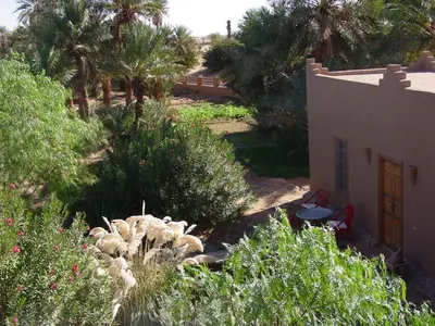 a garden with bushes and trees and a building at Dar Paru in Mhamid