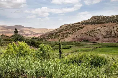 a view of a field with mountains in the background at Le Lion D'or Atlas in Telouet