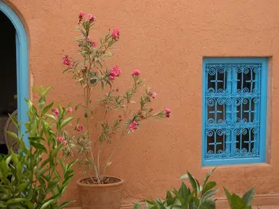a plant in front of a building with a blue window at Kasbah Iswan in Kalaat MGouna
