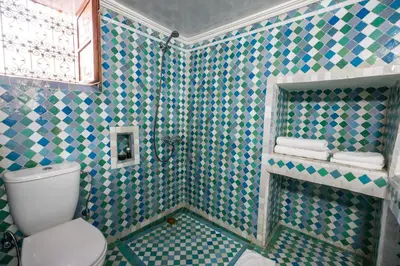 a bathroom with a toilet and a tiled shower at Le Cèdre D'argent in Fès