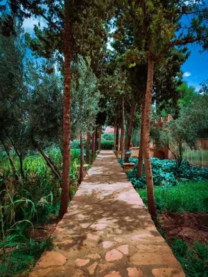 a path in a park with trees and grass at Hôtel LAKASBAH Ait Ben Haddou in Aït Ben Haddou
