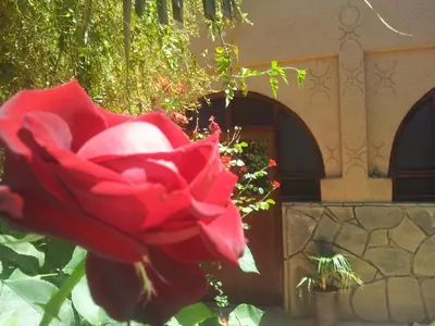 a red rose sitting in front of a building at Maison D' hôtes Ait Hmid in Nkob