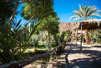 a garden with palm trees and a dirt road at Hotel Bab Rimal - Your Foum Zguid Escape in Foum Zguid