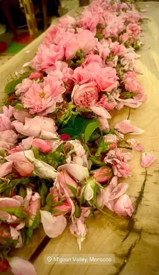 a bunch of pink flowers on a table at Gîte d'étape Tamaloute in Bou Tharar