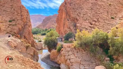 a river in the middle of a rocky canyon at Gîte d'étape Tamaloute in Bou Tharar