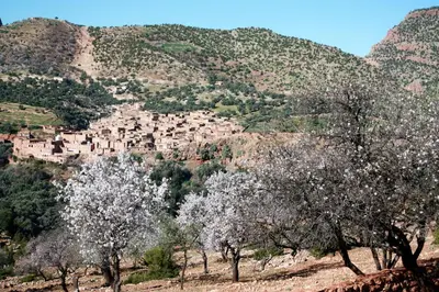 a village on the side of a mountain with trees at Riad Cascades d'Ouzoud in Ouzoud
