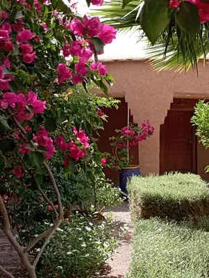 a bush with pink flowers in front of a house at Kasbah Auberge Bassou in Nkob