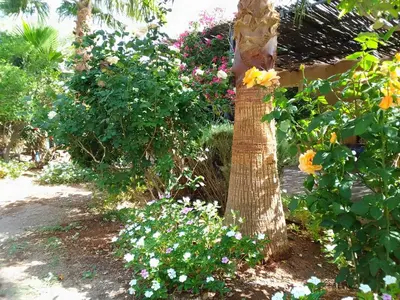 a palm tree in a garden with flowers at Kasbah Auberge Bassou in Nkob
