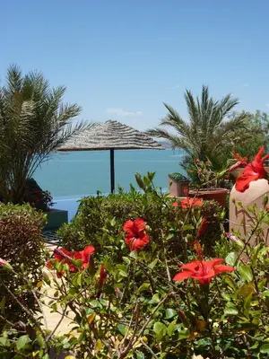 an umbrella and flowers with the ocean in the background at Les Tourmalines in Ouarzazate