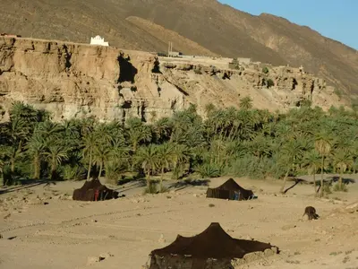 a desert with tents and palm trees and a mountain at Amoudou Lodge Camp in Tissint