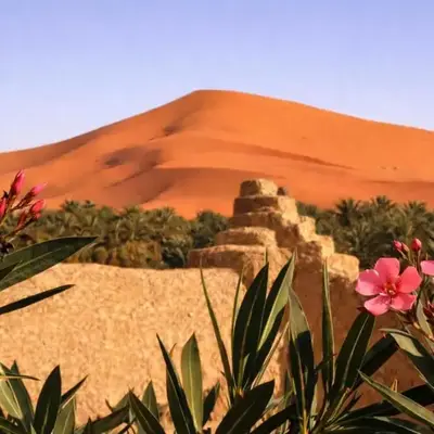 La Vallée des Dunes - Auberge