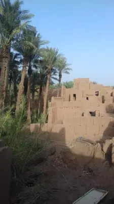 a block building with palm trees in the background at Riad Tagmadarte Ferme d'Hôte in Zagora