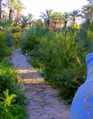 a stone path through a garden with palm trees at Riad Tagmadarte Ferme d'Hôte in Zagora