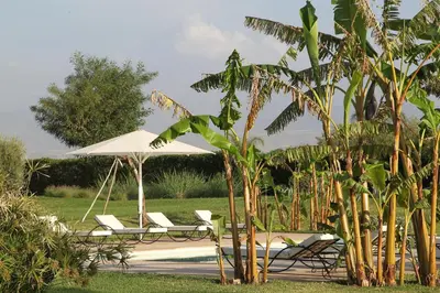 a couple of chairs and an umbrella and some trees at Dar Kamango in Marrakech