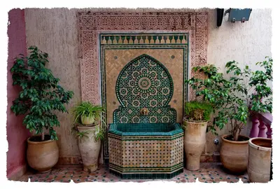 a fountain in a room with potted plants at Riad Raouia HAMMAM & SPA in Fès