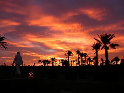 a man walking in front of a sunset with palm trees at Les Jardins de Skoura in Skoura