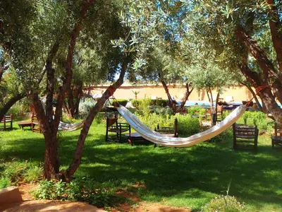 a hammock in the shade of trees in a park at Les Jardins de Skoura in Skoura