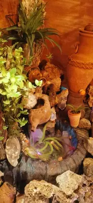a garden with rocks and plants on a table at Atlas Room in Midelt