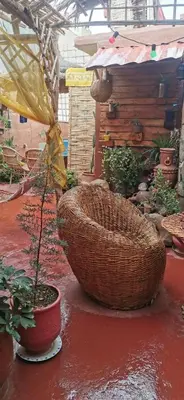 a large basket sitting on a red floor next to a plant at Atlas Room in Midelt