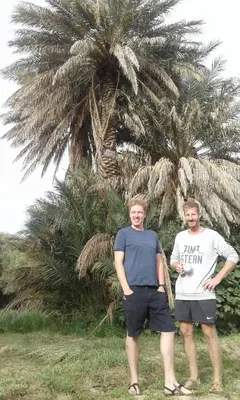 two people standing in front of a palm tree at Écologie oasis tafilalt CHEZ L' HABITANT in Er Rachidia