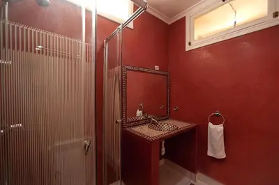 a bathroom with a shower and a sink and a mirror at Auberge le Maquis in Aghbalou