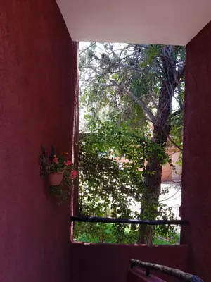 a window in a room with a tree outside at Appart Bin Elouidane in Bine el Ouidane