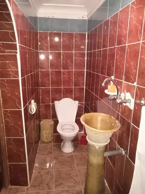 a bathroom with a toilet and a sink at Riad Berbère Boutaghrar in Bou Tharar