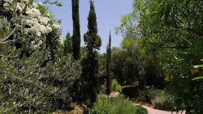 a garden with tall trees and white flowers at Asnouss in Marrakech