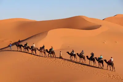 a group of people riding camels in the desert at Auberge Kasbah Des Dunes in Merzouga