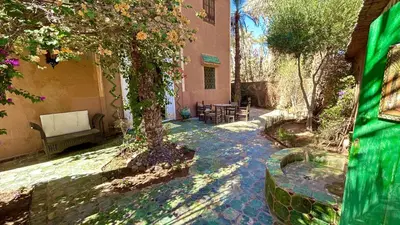 a garden with a tree and a bench and a building at Dar Nakhla Zagora Guest House Restaurant & Desert Excursions in Zagora