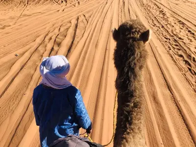 a person with a camel walking in the desert at Sahara Happy Camp in Merzouga